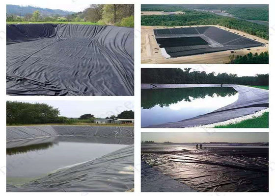 Textured LDPE LLDPE Polyethylene Geomembrane 0.5mm 1mm 1.5mm 2mm Waterproof