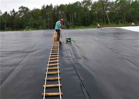 Waterproof Pond Lining Liner 1mm Polyethylene Geomembrane