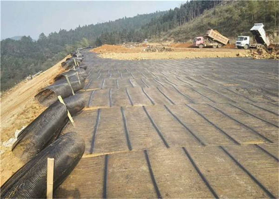 Reinforce Foundations Black Polypropylene Uniaxial Plastic Geogrid