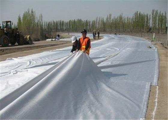 300g Needle Punched Geotextile