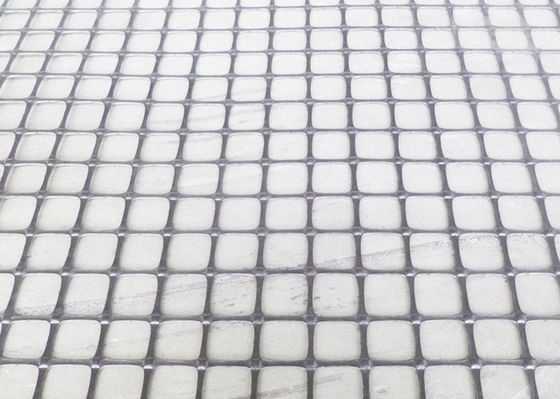Firm High Strength Reinforced Square Plastic Geogrid Mesh
