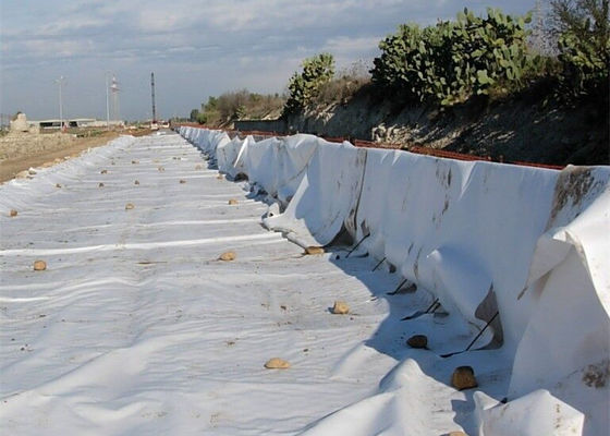 20gsm Nonwoven Geotextile Fabric Civil Environmental For Soil Stabilization