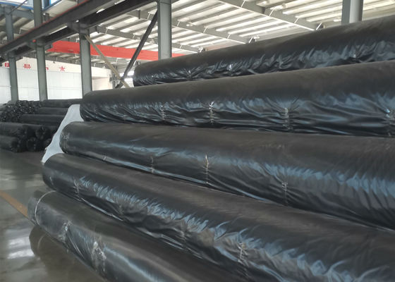 Filament Polypropylene Nonwoven Geotextile 200gsm 300gsm 400gsm ASTM