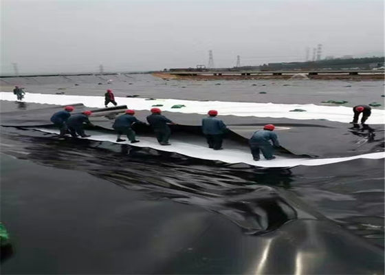 Customization 0.5mm Hdpe Polyethylene Geomembrane For Fish Tank