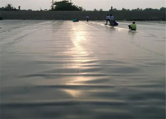 Customization 0.5mm Hdpe Polyethylene Geomembrane For Fish Tank
