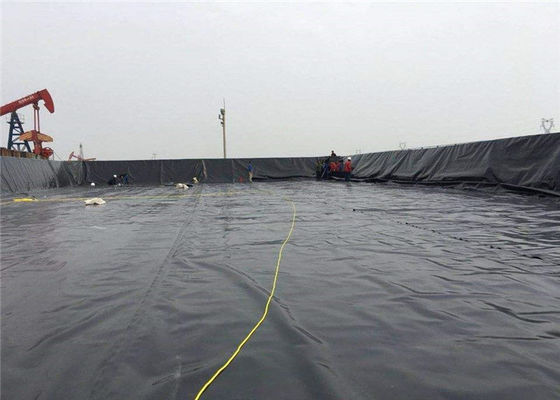 0.8mm Thick Hdpe Geomembrane Sheet Fish Farm / Shrimp / Pond / Dam Liner