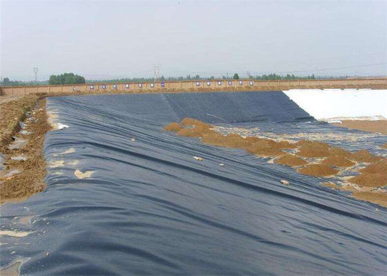 0.8mm Thick Hdpe Geomembrane Sheet Fish Farm / Shrimp / Pond / Dam Liner