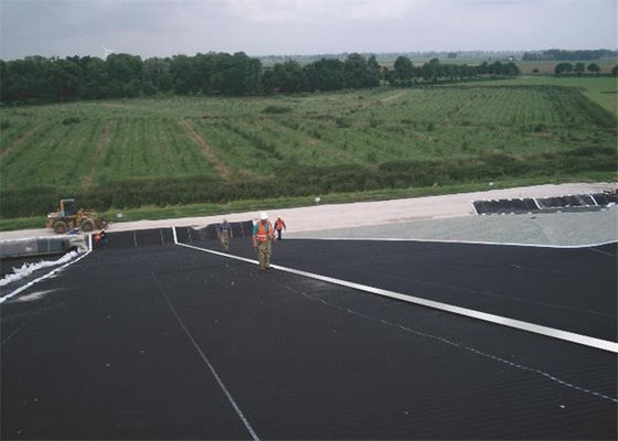 Fish Farm Pond Liner Hdpe Geomembrana 3.0mm Thickness