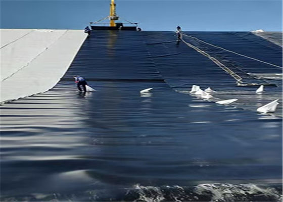 1mm Soudure 2mm Polyethylene Geomembrane Hdpe For Fish Farm