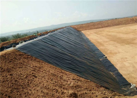 Fish Farm Pond Liner Hdpe Geomembrana 3.0mm Thickness