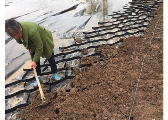 Plastic road construction material polypropylene PP biaxial geogrid